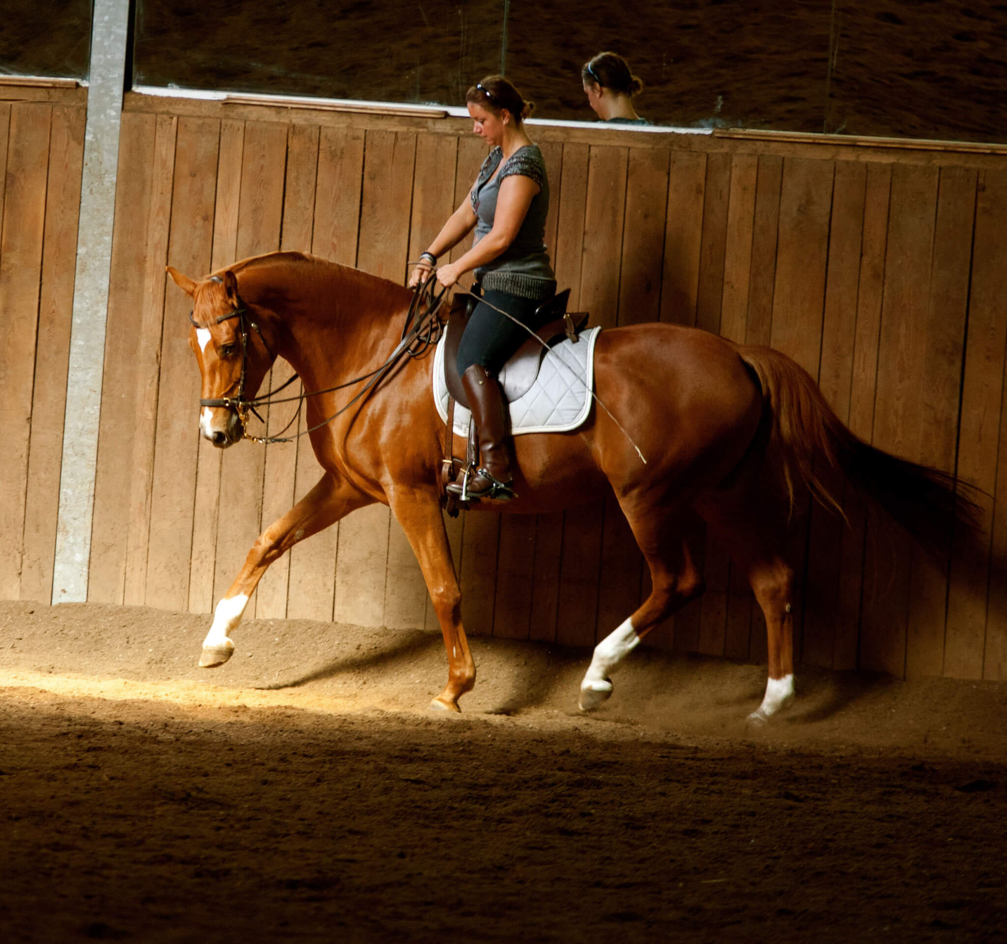 Schubkraft versus Tragkraft  – oder: Reite dein Pferd vorwärts und richte es gerade!