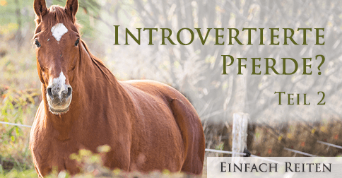 Introvertiert und gar nicht schüchtern?