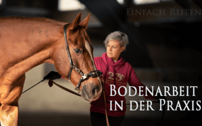 Bodenarbeit in der Praxis