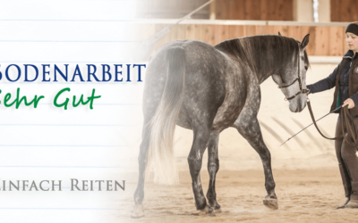 Bodenarbeit: Sehr gut