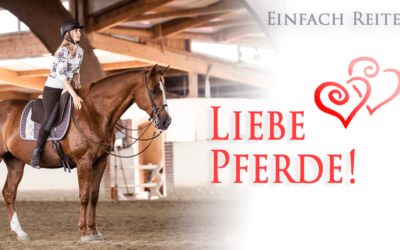 Liebe Pferde!
