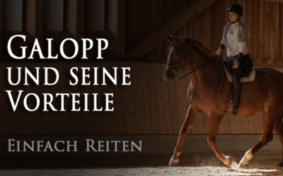 Über den Galopp und seine Vorteile