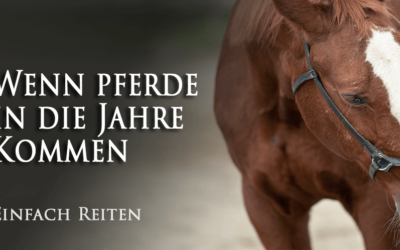 Alte Pferde? Der Seniorenclub