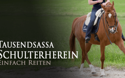 Tausendsassa Schulterherein