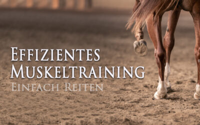 Effizientes Muskeltraining