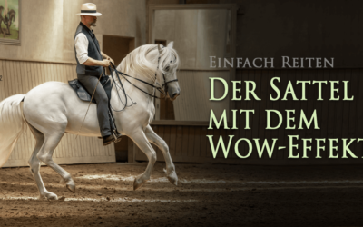 Der Schulungssattel mit dem WOW-Effekt
