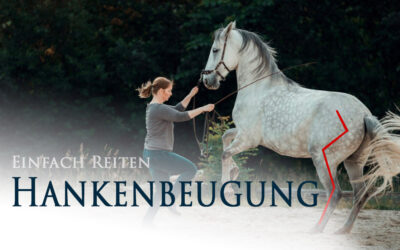 Hankenbeugung – der Traum von Versammlung