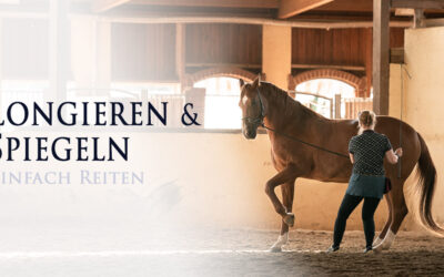 Longieren und Spiegeln = Miteinander Tanzen