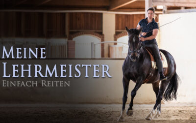 Meine Lehrmeister die Pferde