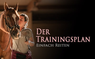 Der Trainingsplan – oder – wo stehst du?