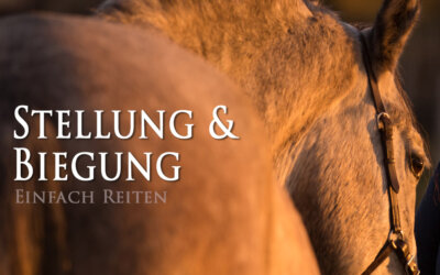 Stellung und Biegung – der Grundstein der Reitkunst