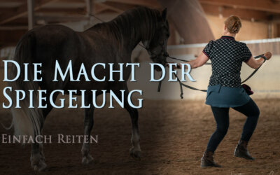 Die Macht der Spiegelung