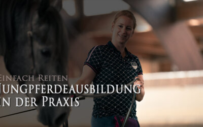 Jungpferde in der Praxis