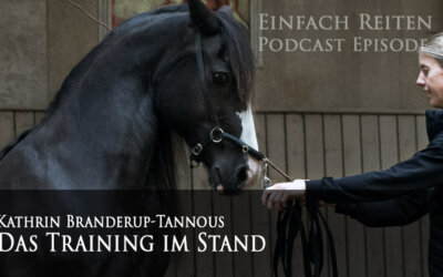 ERP-31: Die Arbeit im Stehen