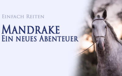 Mandrake – ein neues Abenteuer beginnt