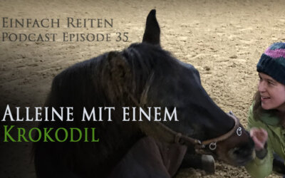 ERP-35 – ALLEINE MIT EINEM KROKODIL?