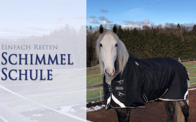 Aller Guten dinge sind… 3 Schimmel