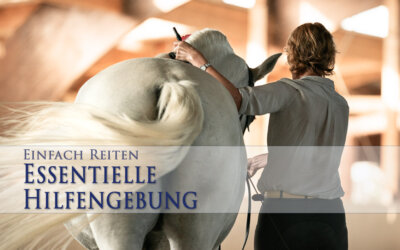 Essenzielle Hilfengebung – welche Hilfen gibt es?