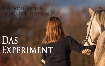 ERP-36 – Das Experiment