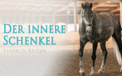 Essenziell – der innere Schenkel