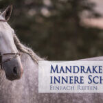 Mandrake und der innere Schenkel