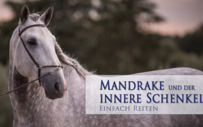 Mandrake und der innere Schenkel