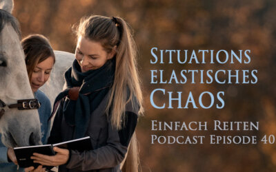 ERP-40: Situationselastisches Chaos