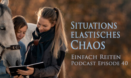 ERP-40: Situationselastisches Chaos