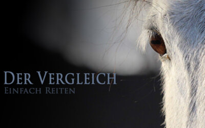 Der Vergleich macht es möglich