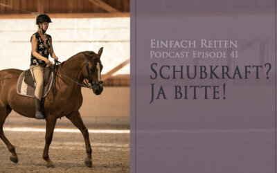 ERP-41: Schubkraft, Ja bitte!