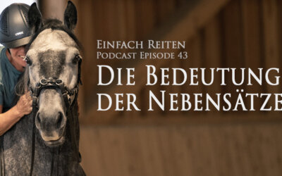 Die Bedeutung der Nebensätze