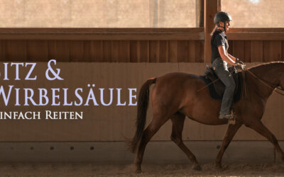 Der Sitz und die Wirbelsäule
