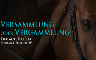 ERP-49 Versammlung oder Vergammlung