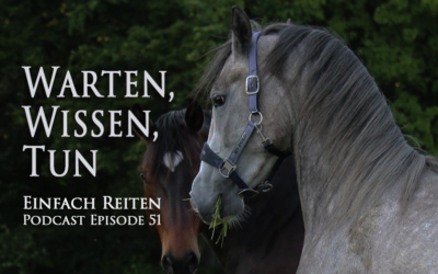 ERP-51 Warten, Wissen, Tun!