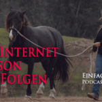 ERP-50: Die Internet Liaison mit Folgen..