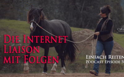ERP-50: Die Internet Liaison mit Folgen..