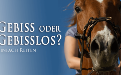 Gebiss oder Gebisslos?