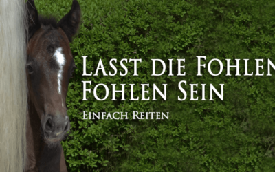 Lasst die Fohlen Fohlen sein