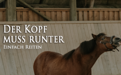 Rübe runter – Hals rund?