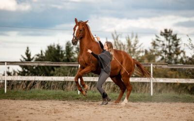 Wo hast du mich am Liebsten?