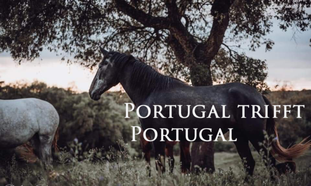 Portugal findet Portugal