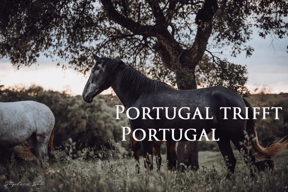 Portugal findet Portugal