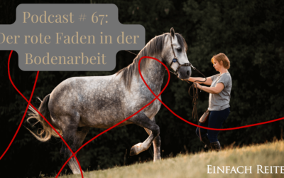 ERP 67: Bodenarbeit, Pädagogik und die Inhalte