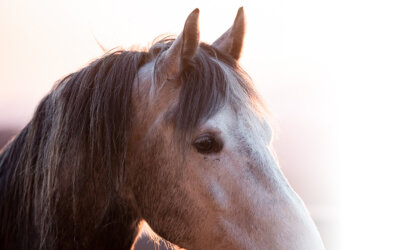 ERP-102: Lass uns über Maßstäbe sprechen