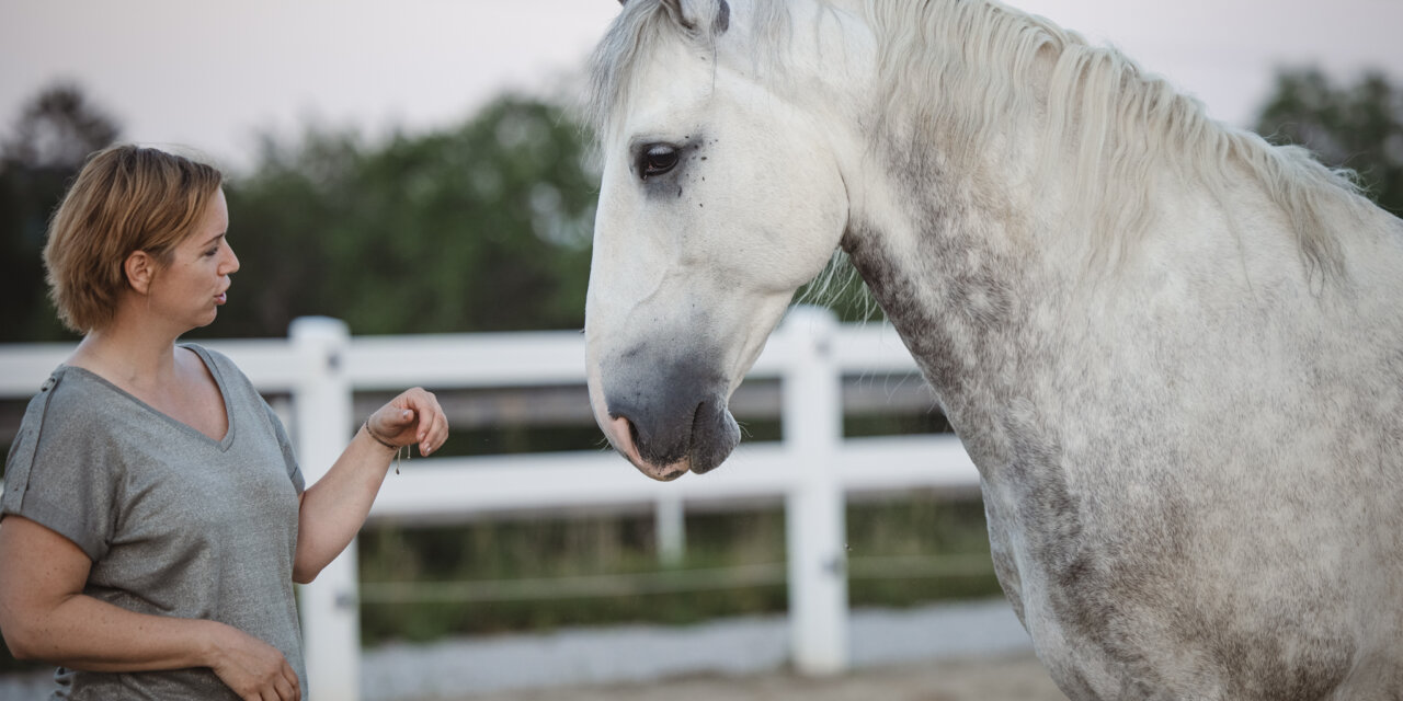 ERP-101: Bin ich auf dem richtigen Weg?