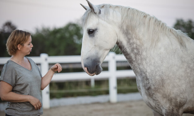 ERP-101: Bin ich auf dem richtigen Weg?