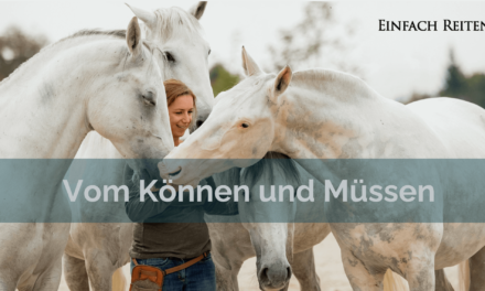 Was muss mein Pferd können?