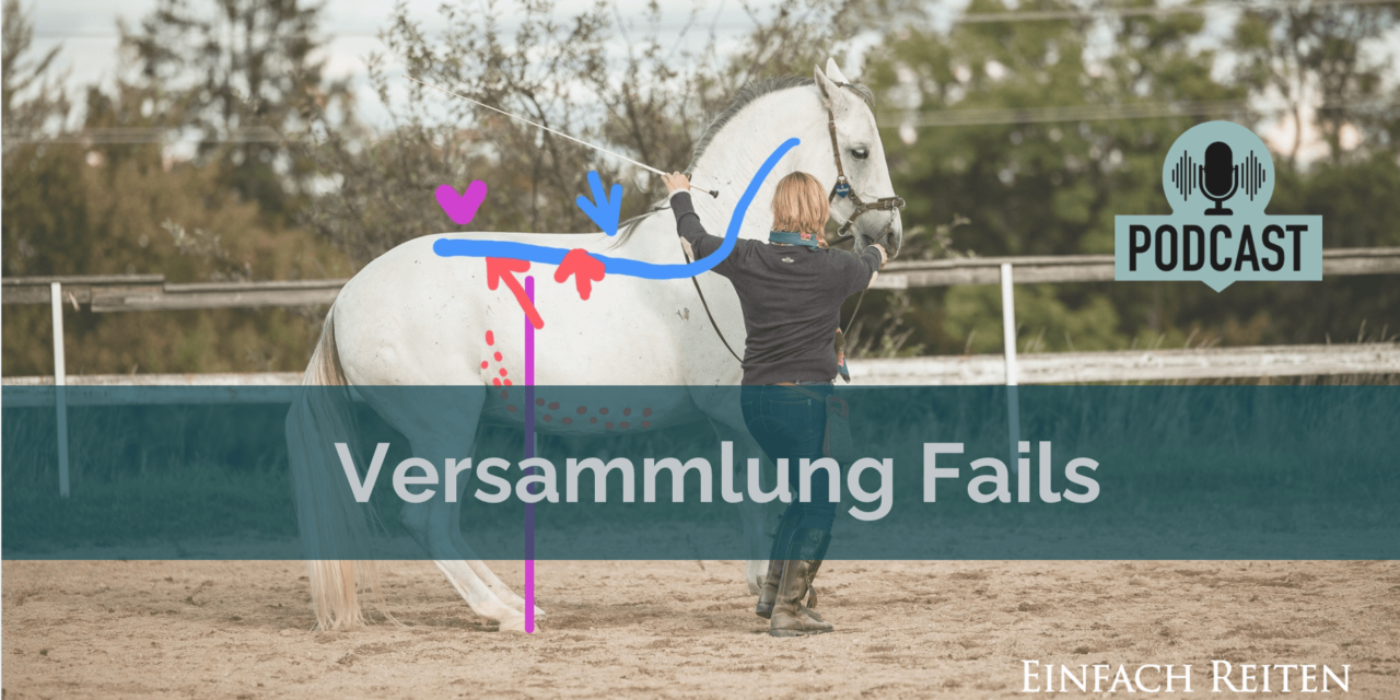 ERP-82 Versammlung-Fails