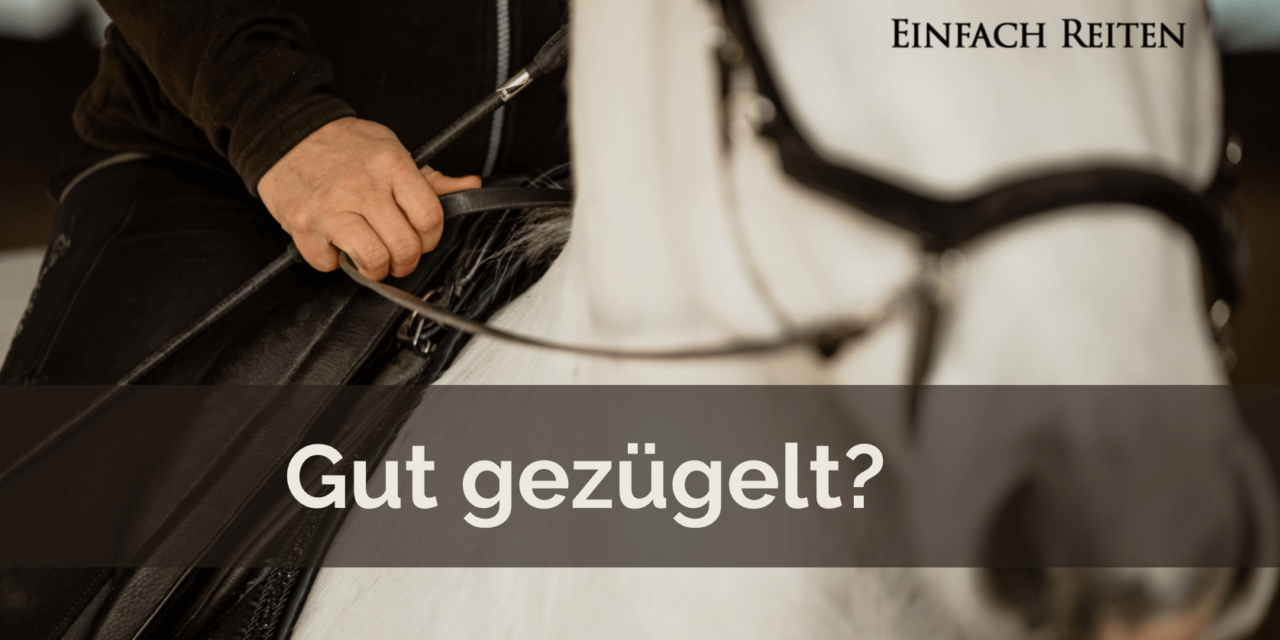 Gut gezügelt?