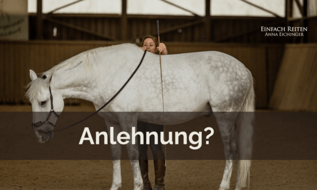 Anlehnung und Reiterhand